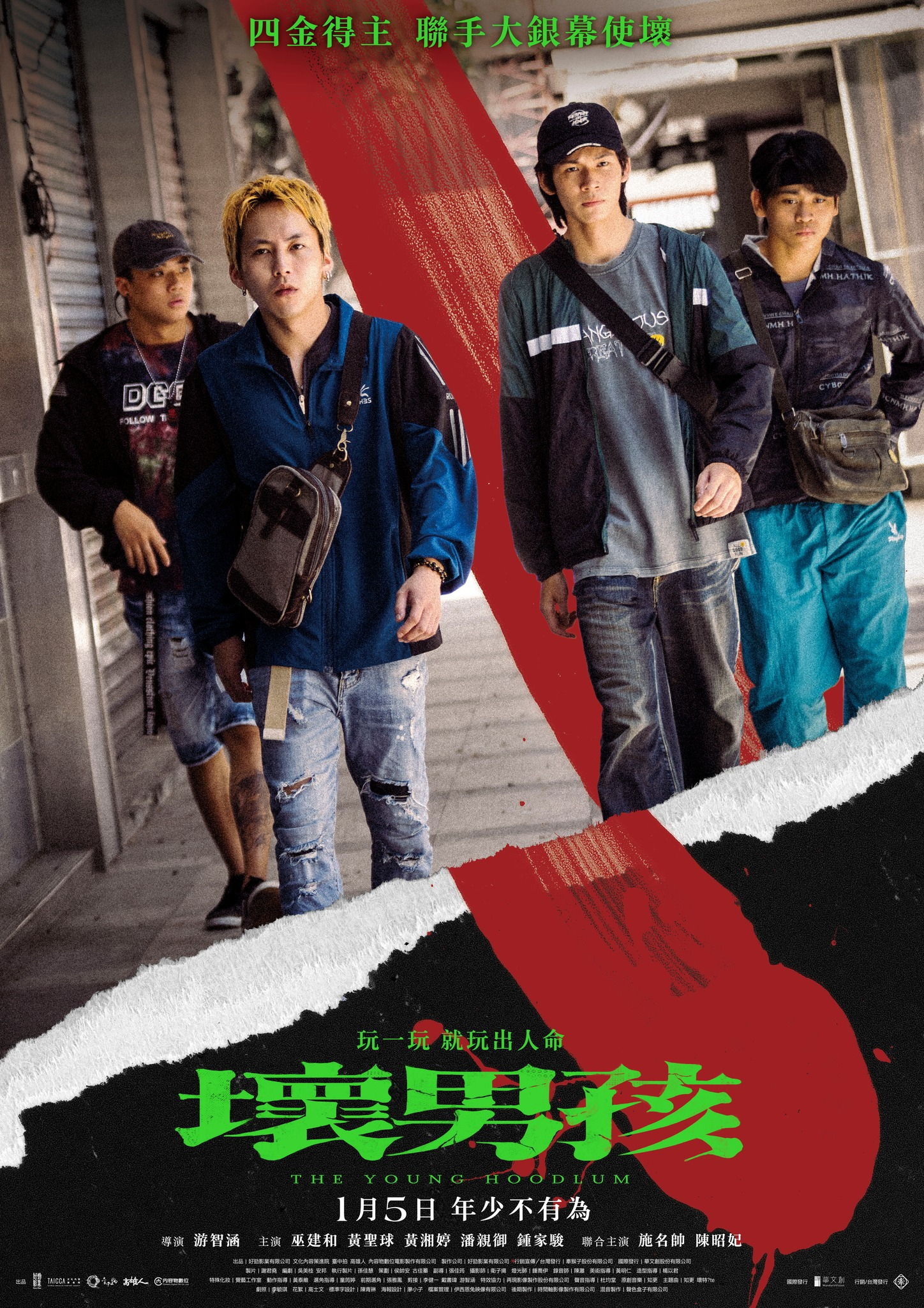 坏男孩/The Young Hoodlum